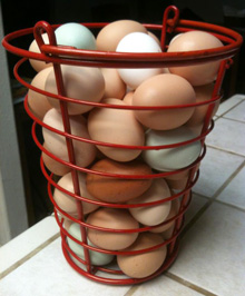 Basket of farm fresh eggs