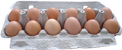 Carton of micro farmed fresh eggs