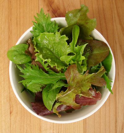 Organic spring lettuce mix,  rainbow of colors and a feast for the mind, body, and soul!